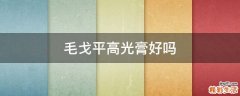毛戈平高光膏好吗