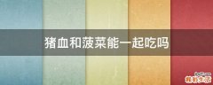 猪血和菠菜能一起吃吗