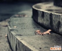 2 个人健康与组织健康同样重要