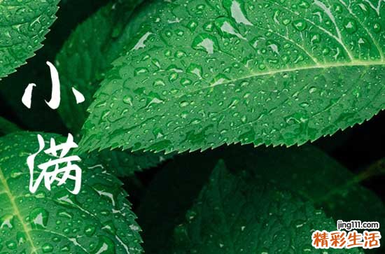 2023小满是几月几日 2023小满有什么习俗