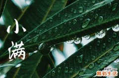 2023小满节气吃什么 2023小满吃什么风俗食物