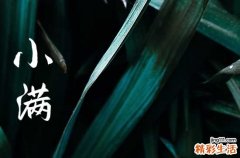 2023年小满这天领证好吗 2023年小满领证结婚好不好