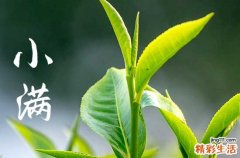 2023年小满节气是哪一天 2023小满是几点钟