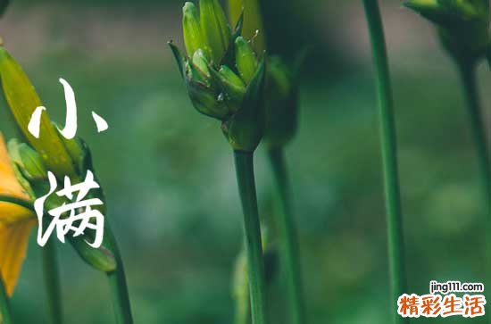 2023年小满是几点几分 2023年5月21日15点08分59秒