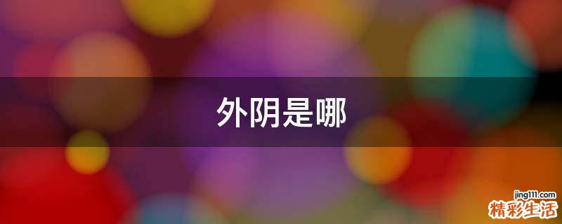 外阴是哪