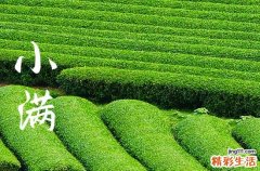 2023小满是农历几月 2023年小满在农历四月初三