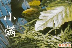 2023小满是什么时候 2023小满在什么季节