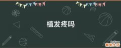 植发疼吗