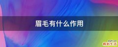 眉毛有什么作用