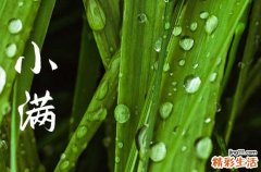 小满发朋友圈怎么说 小满发朋友圈的文案