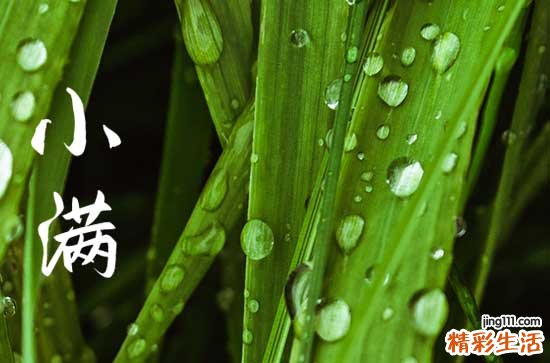 小满发朋友圈怎么说 小满发朋友圈的文案
