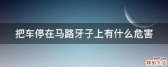 把车停在马路牙子上有什么危害