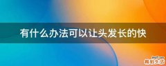 有什么办法可以让头发长的快