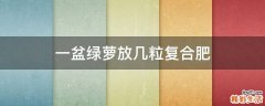 一盆绿萝放几粒复合肥