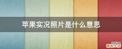 苹果实况照片是什么意思
