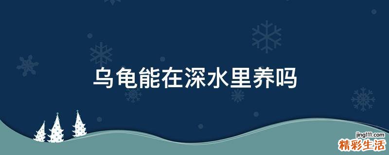 乌龟能在深水里养吗