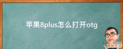 苹果8plus怎么打开otg