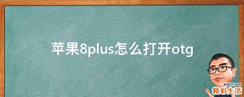 苹果8plus怎么打开otg