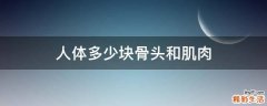人体多少块骨头和肌肉