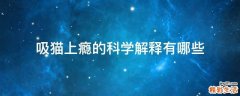 吸猫上瘾的科学解释有哪些