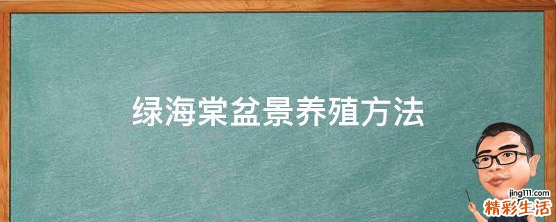 绿海棠盆景养殖方法