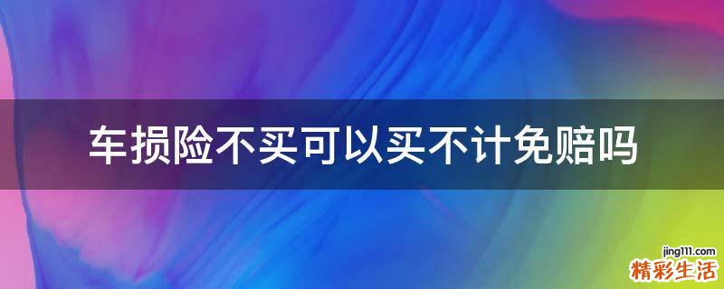 车损险不买可以买不计免赔吗