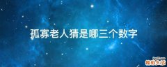 孤寡老人猜是哪三个数字