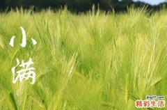 2023小满过后种花生晚了吗 小满过后种什么菜合适