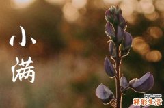 2023小满过后是初夏吗 小满过后是什么季节