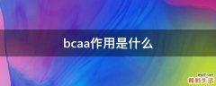 bcaa作用是什么