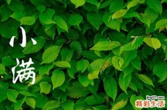 2023小满之后天气是冷是热 小满时节气温方面有什么变化