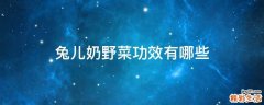 兔儿奶野菜功效有哪些
