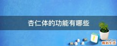杏仁体的功能有哪些