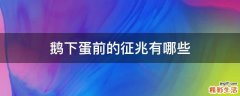 鹅下蛋前的征兆有哪些