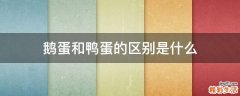 鹅蛋和鸭蛋的区别是什么