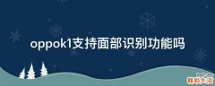oppok1支持面部识别功能吗