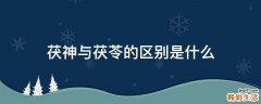 茯神与茯苓的区别是什么