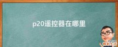 p20遥控器在哪里