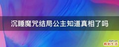 沉睡魔咒结局公主知道真相了吗