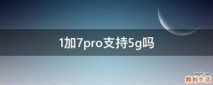 1加7pro支持5g吗