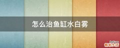 怎么治鱼缸水白雾