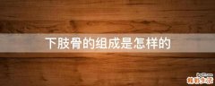 下肢骨的组成是怎样的