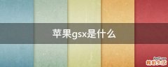 苹果gsx是什么