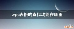 wps表格的查找功能在哪里