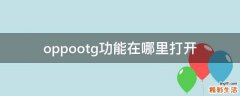 oppootg功能在哪里打开
