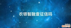 农银智融查征信吗