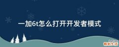 一加6t怎么打开开发者模式