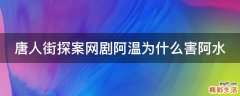 唐人街探案网剧阿温为什么害阿水