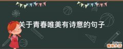 关于青春唯美有诗意的句子