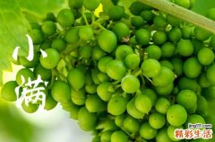 2023年小满节气前一天是绝日吗 四绝日当天有什么禁忌